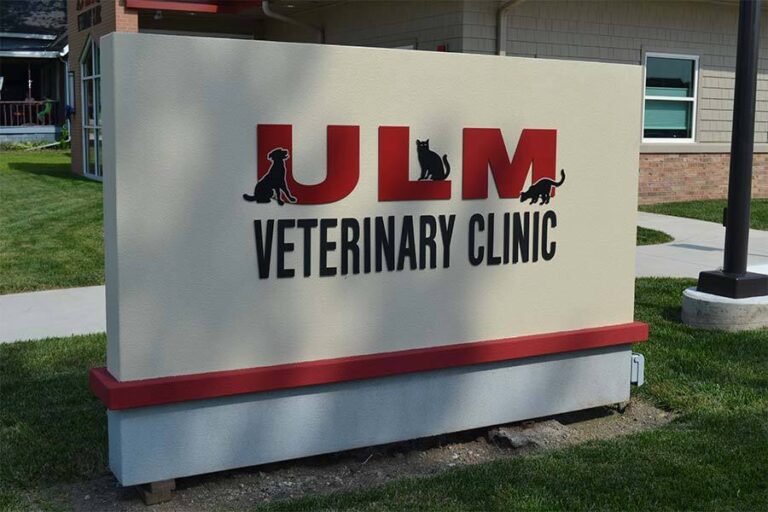ulm veterinary c 001 1 768x512